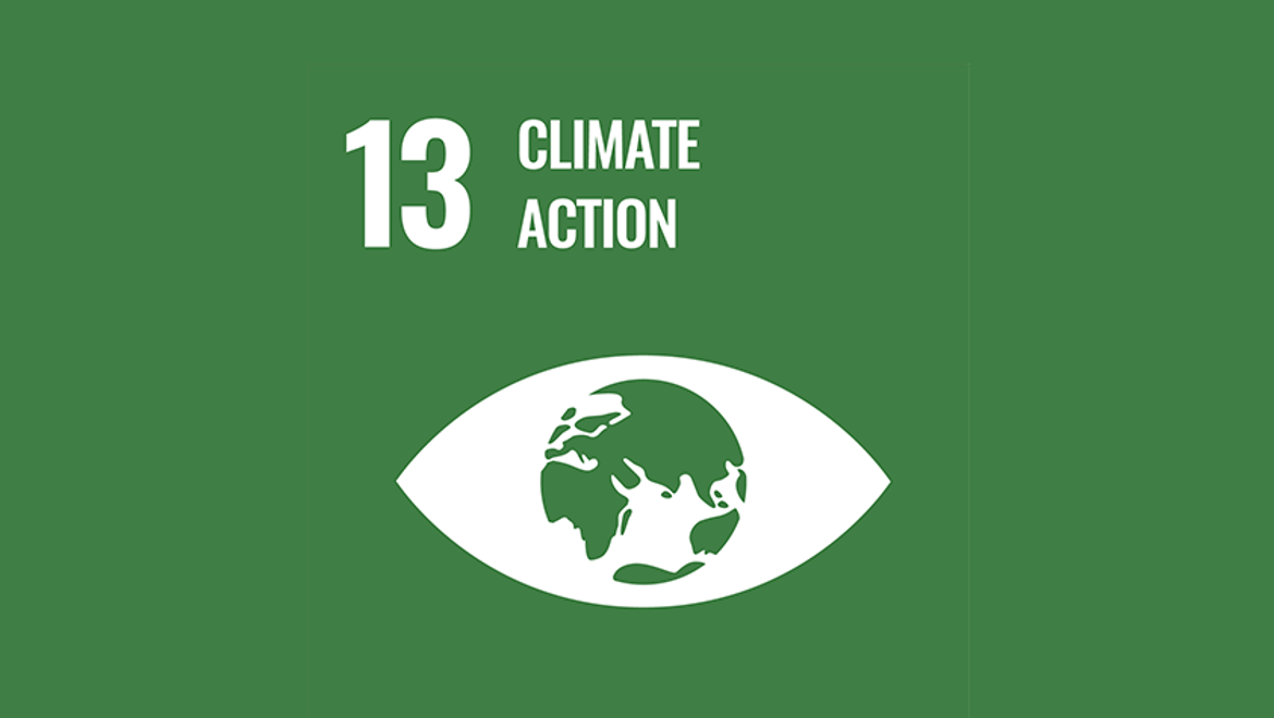 Cel 13 Organizacji Narodów Zjednoczonych „Działania na rzecz klimatu”